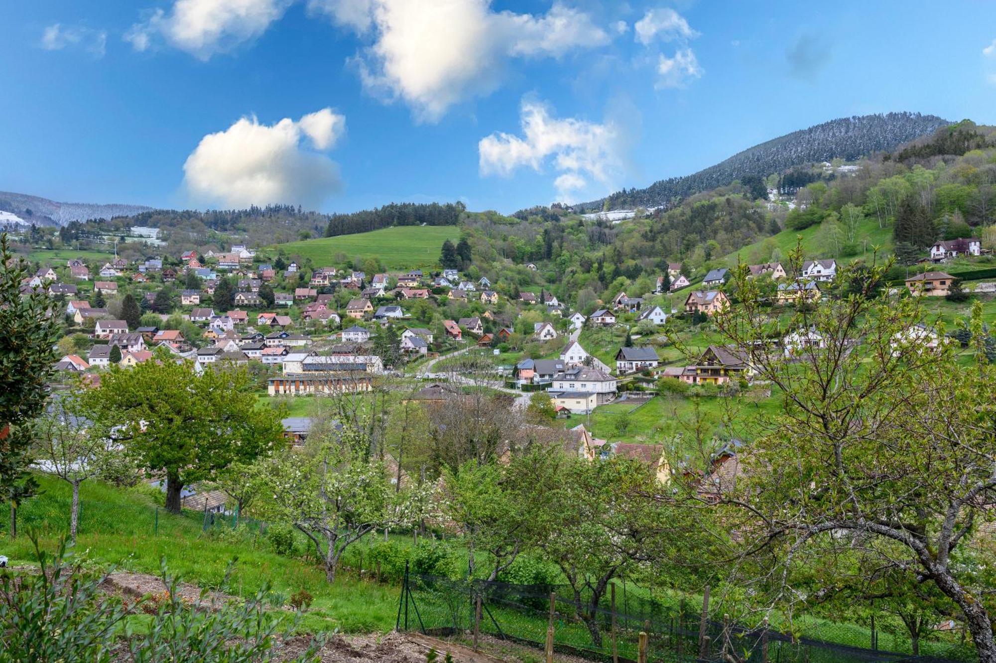 Gite En Montagne Vosges Alsaciennes Фреланд Экстерьер фото